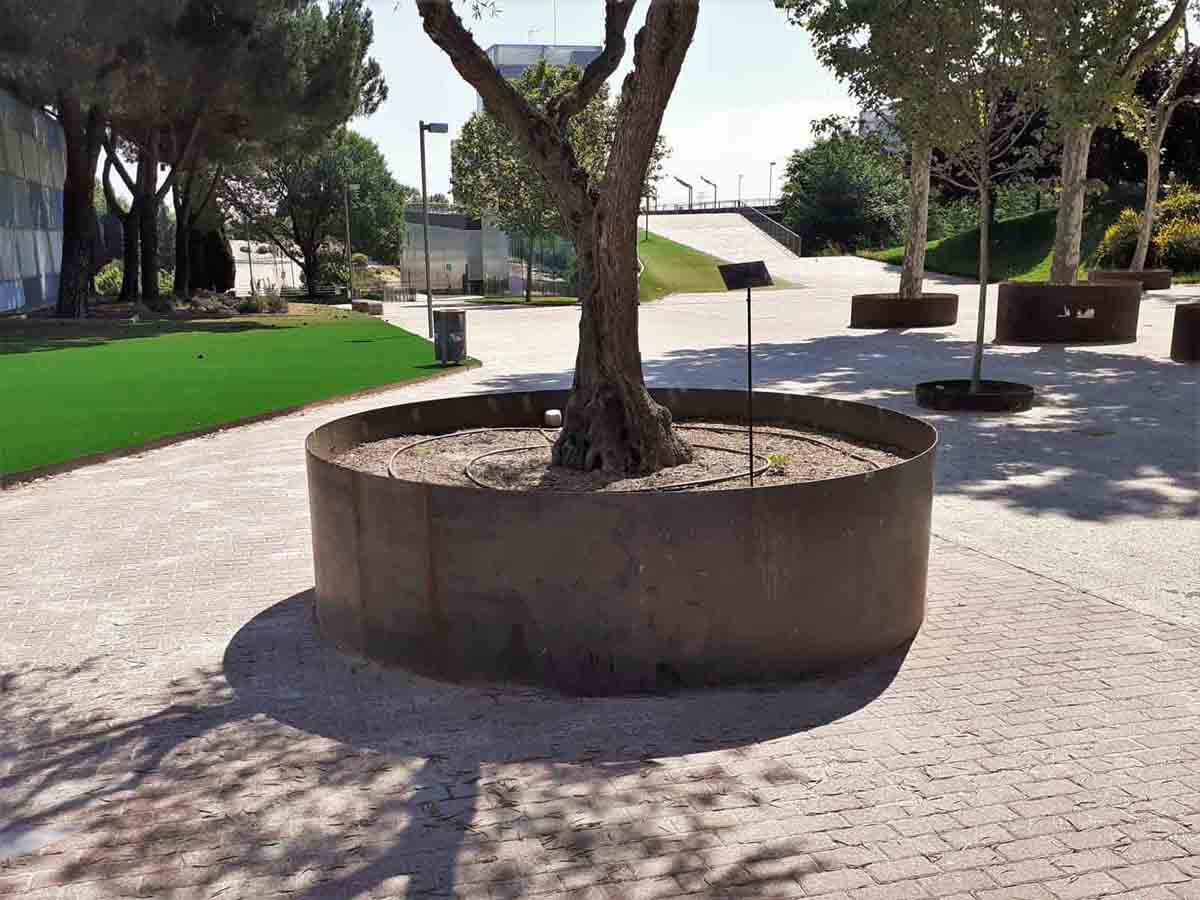 Acero Corten - Alcorques de acero corten en Campus Universitario en Madrid.